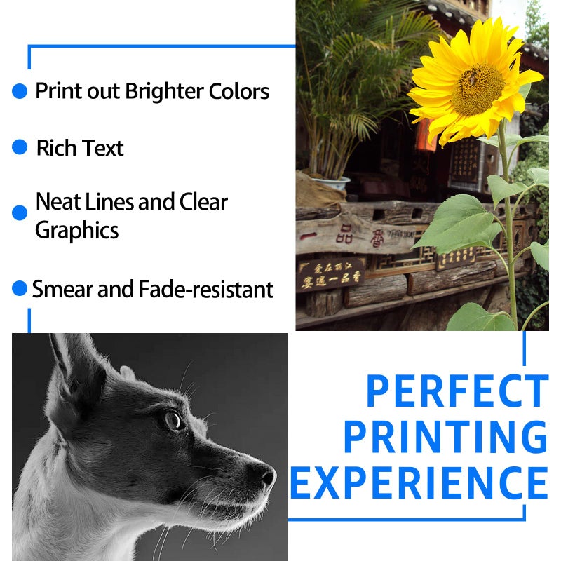 SuperInk 21XL Remanufactured High Yield Ink Cartridge Replacement for HP 21 XL 21 Compatible with DeskJet D1520 D2345 F4140 F4180 F380 D1320 D1330 Officejet 4315 J3600 J3680 Printer(2 Pack Black) - Image 5